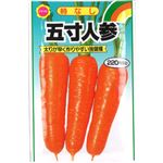 【種】アタリヤ農園 時なし五寸人参
