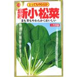 【種】アタリヤ農園 新小松菜