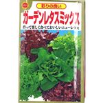 【種】アタリヤ農園 ガーデンレタスミックス