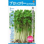 【種】アタリヤ農園 スプラウト ブロッコリー