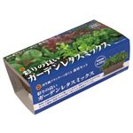 アタリヤ農園 栽培セット ガーデンレタスミックス