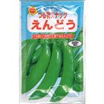 【種】アタリヤ農園 つる有スナックえんどう
