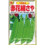 【種】アタリヤ農園 赤花つる有り絹さやえんどう