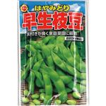【種】アタリヤ農園 早生枝豆