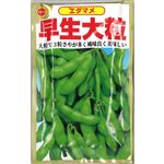 【種】アタリヤ農園 枝豆 早生大粒