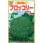 【種】アタリヤ農園 育ちが良いブロッコリー