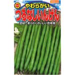 【種】アタリヤ農園 おいしいつるなしいんげん