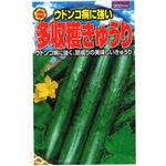 【種】アタリヤ農園 うどんこ病に強い 多収穫きゅうり