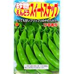 【種】アタリヤ農園 砂糖えんどうスイートスナップ