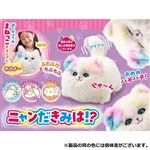 【3歳頃～】アガツマ ニャンだきみは！？