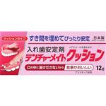 共和 デンチャーメイトクッション 12g