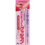 共和 デンチャーメイトクッション 36g