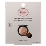 コーセー ヴィセ シェード トリック BR 300 8.5g