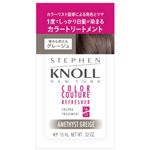 コーセー スティーブンノル カラークチュール カラートリートメント ＃005 グレージュ トライアル 15g