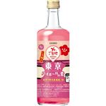 合同酒精 ご当地 東京ハイボールの素 600ml