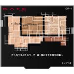 カネボウ化粧品 KATE（ケイト）バーチャルアイズメイカー OR－1 3.3g