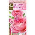カネボウ化粧品 エビータ トリートメントヘアカラー 4A ライトアッシュブラウン 1個