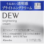 カネボウ化粧品 DEW ブライトニングクリーム 30g