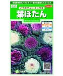 【種】サカタのタネ 葉ぼたん バラエティーミックス