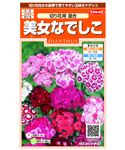 【種】サカタのタネ 美女なでしこ 切り花用混合
