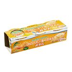 ★中央製乳 フローズンヨーグルト みかん 3個パック 285ml