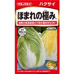 【種】タキイ種苗 白菜 ほまれの極み