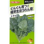 【種】タキイ種苗 ぐんぐん育つ！極早生ほうれん草 トライ