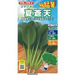【種】タキイ種苗 VS猛暑 夏蒼天