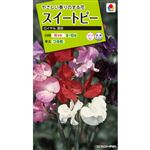 【種】タキイ種苗 スイートピーロイヤル混合