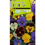 【種】タキイ種苗 ビオラ 美色混合