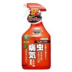 住友化学園芸 ベニカXスプレー 1000ml