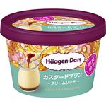 ハーゲンダッツ ミニカップ カスタードプリン ～クリームリッチ～ 110ml