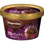 ハーゲンダッツ 悪魔のささやきチョコレート 86ml