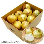 【予約】 佐賀県産 たまねぎ小箱3kg 1箱 【6月25日～6月29日のお受取り】