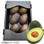 【予約】 ペルー産 アボカド 大パック 1箱（6個） 【6月25日～6月29日のお受取り】