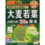 山本漢方製薬 大麦若葉粉末100％ 計量タイプ お徳用 170g（85g×2袋）