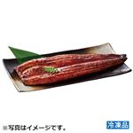 【予約】 【冷凍】 宮崎県産 八本木樽うなぎ蒲焼 大 1尾 【7月26日～7月30日配送】