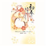 総合商研 郵政年賀パックカラー5枚 89