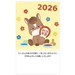 総合商研 郵政年賀パックカラー5枚 100