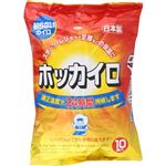 興和 ホッカイロ 貼らない レギュラー 10個