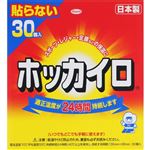 興和 ホッカイロ 貼らないタイプ レギュラー 30個