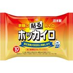 興和 ホッカイロ 貼る 10個