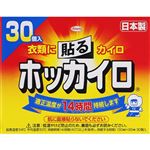 興和 ホッカイロ 貼るタイプ レギュラー 30個