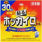 興和 ホッカイロ 貼るミニ 30個