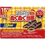 興和 ホッカイロ ぬくぬく当番 くつ用 15足（30個）