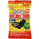 興和 ホッカイロ ぬくぬく当番 くつ下用 5足（10個）