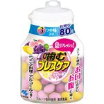 小林製薬 噛むブレスケアボトル アソート 80粒