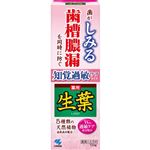 小林製薬 生葉sb 知覚過敏ケアタイプ 100g