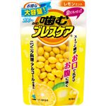 小林製薬 噛むブレスケア パウチ レモンミント 100粒