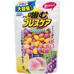 小林製薬 噛むブレスケア パウチ アソート 100粒